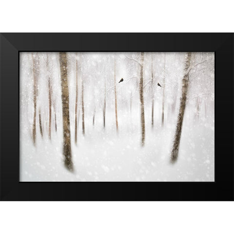 Winter Birches Black Modern Wood Framed Art Print by Davidsson, Gustav