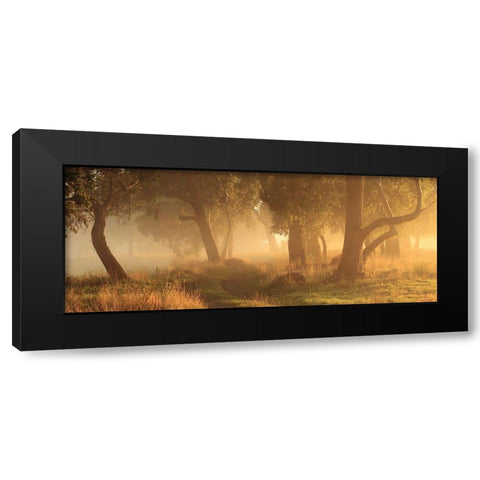 Morning Mist Black Modern Wood Framed Art Print with Double Matting by Smith, Garth