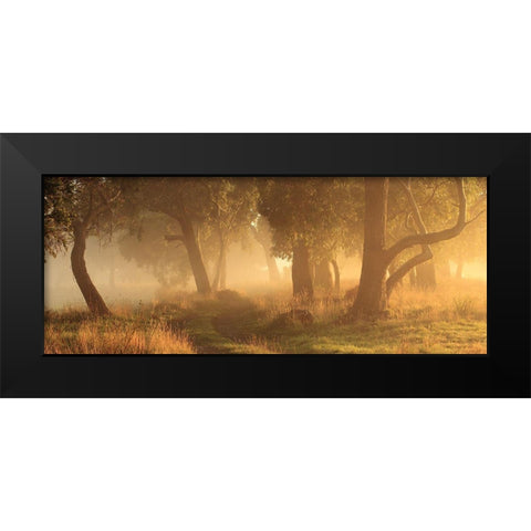 Morning Mist Black Modern Wood Framed Art Print by Smith, Garth