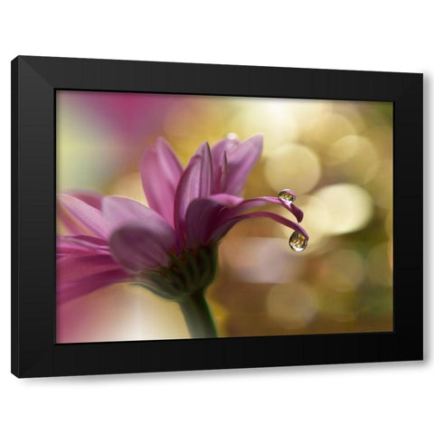 Song Of My Soul... Black Modern Wood Framed Art Print by Nan, Juliana