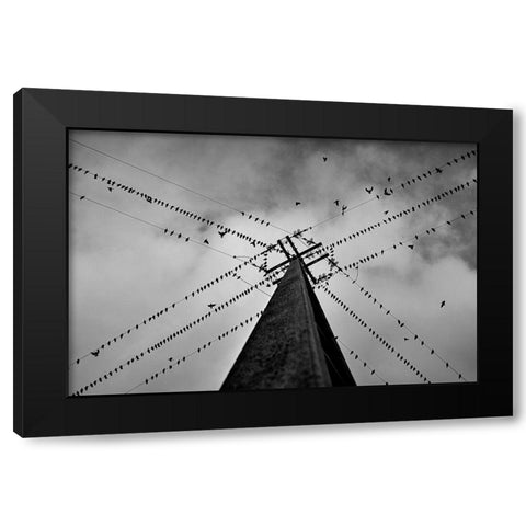 Wired Black Modern Wood Framed Art Print with Double Matting by Caria, Rui