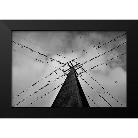 Wired Black Modern Wood Framed Art Print by Caria, Rui