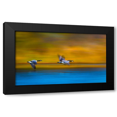 Mom-Dad-Wait For Me! Black Modern Wood Framed Art Print by Wang, Kevin