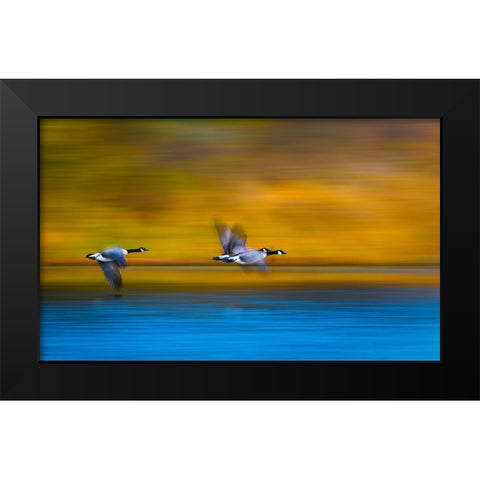 Mom-Dad-Wait For Me! Black Modern Wood Framed Art Print by Wang, Kevin