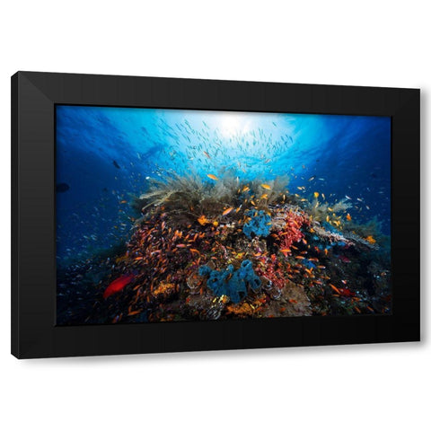 Apnea Black Modern Wood Framed Art Print by Gabriel, Barathieu