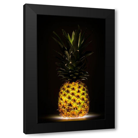 Pineapple Black Modern Wood Framed Art Print with Double Matting by De Kogel, Wieteke
