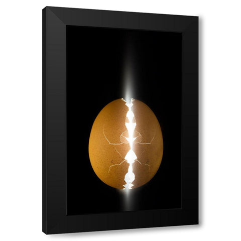 Alien Egg Black Modern Wood Framed Art Print by De Kogel, Wieteke