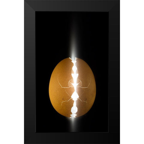 Alien Egg Black Modern Wood Framed Art Print by De Kogel, Wieteke
