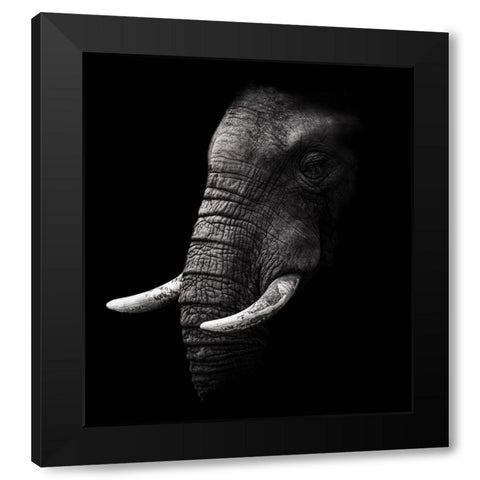 Portrait Black Modern Wood Framed Art Print with Double Matting by Wildphotoart