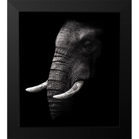 Portrait Black Modern Wood Framed Art Print by Wildphotoart