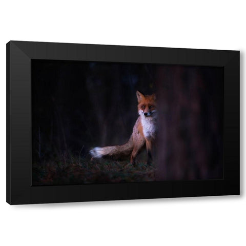 Glances Black Modern Wood Framed Art Print by Mastahac, Sebastian