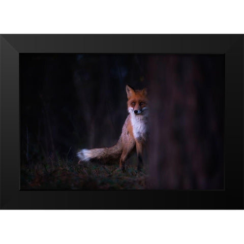 Glances Black Modern Wood Framed Art Print by Mastahac, Sebastian