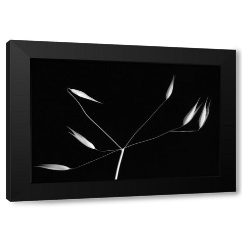 Light And Simplicity Black Modern Wood Framed Art Print by Azevedo, Olavo