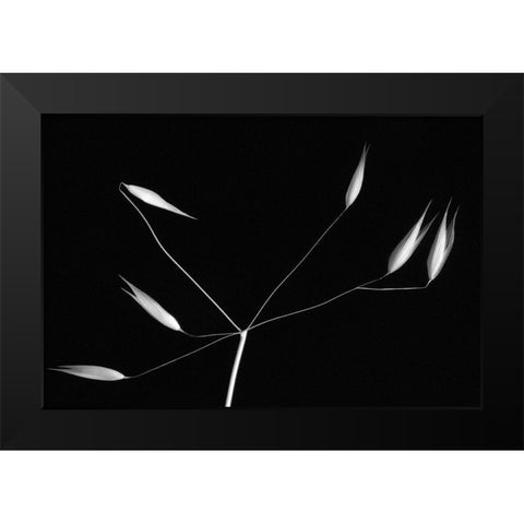 Light And Simplicity Black Modern Wood Framed Art Print by Azevedo, Olavo