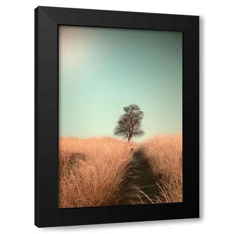 Grass And Path Black Modern Wood Framed Art Print by van den, Jaap