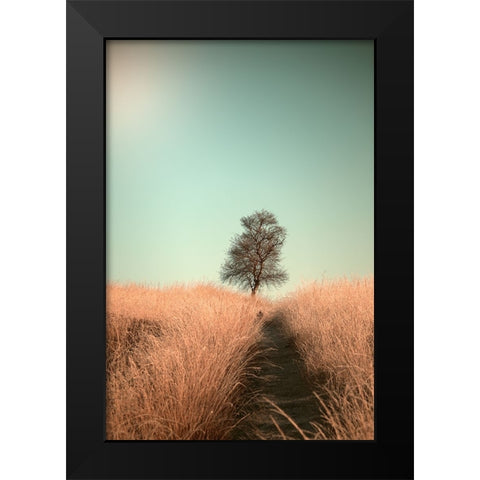 Grass And Path Black Modern Wood Framed Art Print by van den, Jaap