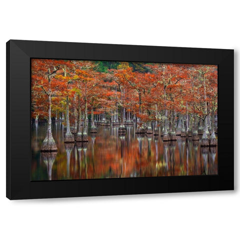 Quiet Cove Black Modern Wood Framed Art Print with Double Matting by Moore, Chris