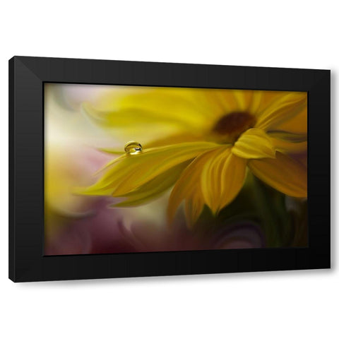 Sunbeam... Black Modern Wood Framed Art Print with Double Matting by Nan, Juliana