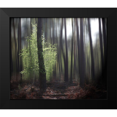 Spring Forest Black Modern Wood Framed Art Print by Cseresnjes, Anna