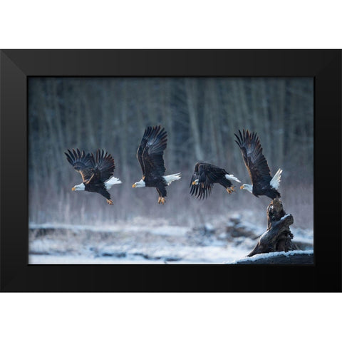 Ready-Go! Black Modern Wood Framed Art Print by Uota, Katsu