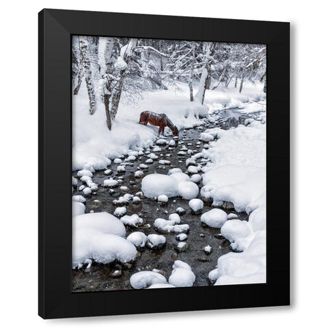 Drinking In Snow Black Modern Wood Framed Art Print with Double Matting by Zhu, Hua