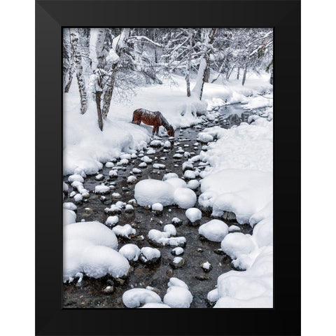 Drinking In Snow Black Modern Wood Framed Art Print by Zhu, Hua