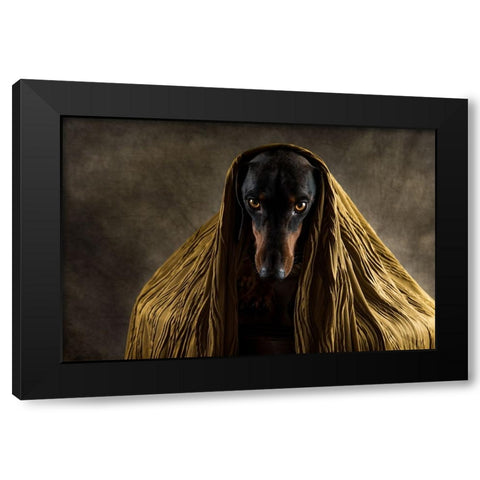 Golden Eyes Black Modern Wood Framed Art Print with Double Matting by Willers, Heike