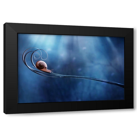 Beautifull Snail Black Modern Wood Framed Art Print by Almustaqim, Dede