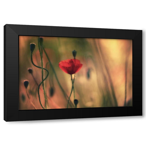 Untitled Black Modern Wood Framed Art Print with Double Matting by Or, Keren