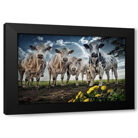 Then I Told Them About Spain Black Modern Wood Framed Art Print by Flour, Piet