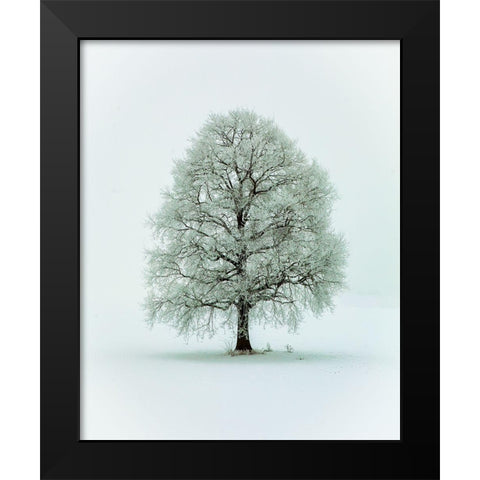Nimloth Black Modern Wood Framed Art Print by Hieke, Heinz