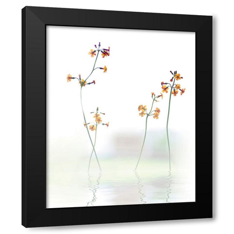 Petite Fleur .... Black Modern Wood Framed Art Print with Double Matting by Cseresnjes, Anna