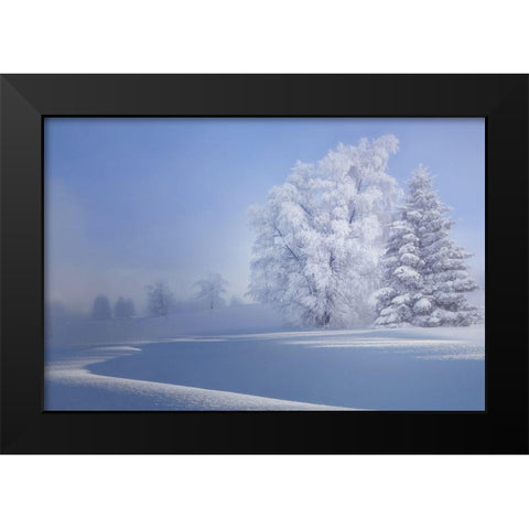 Crispy Morning Black Modern Wood Framed Art Print by Veroniques