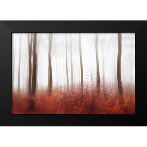 Endless Woods Black Modern Wood Framed Art Print by Davidsson, Gustav