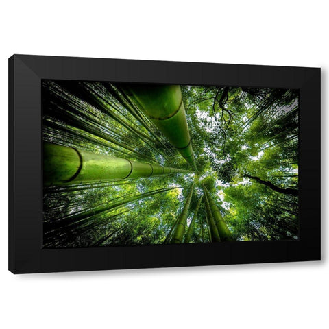 Arashiyama Black Modern Wood Framed Art Print by Ros, David