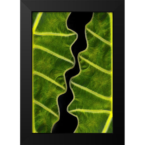 Balance Black Modern Wood Framed Art Print by Memensaputra