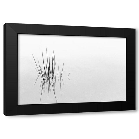 Reflections Black Modern Wood Framed Art Print with Double Matting by Azevedo, Olavo