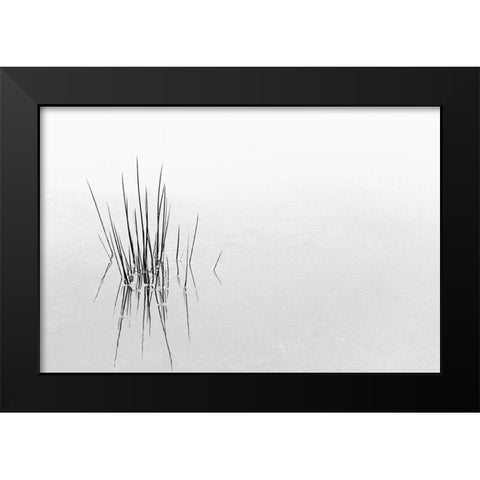 Reflections Black Modern Wood Framed Art Print by Azevedo, Olavo