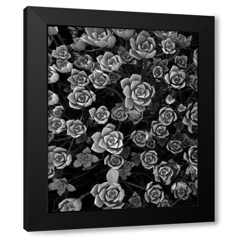 Tuc 1 Black Modern Wood Framed Art Print by Sousa Dias, Nana