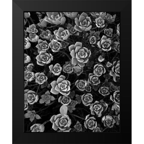 Tuc 1 Black Modern Wood Framed Art Print by Sousa Dias, Nana