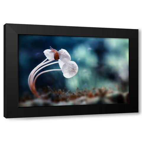Snail And Mushrooms Black Modern Wood Framed Art Print by Almustaqim, Dede