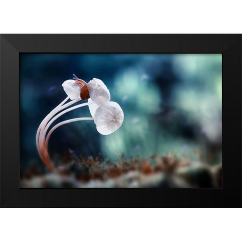 Snail And Mushrooms Black Modern Wood Framed Art Print by Almustaqim, Dede