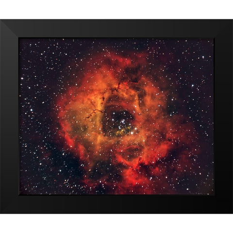 The Rose In The Sky Black Modern Wood Framed Art Print by Auf Dem, Andrea