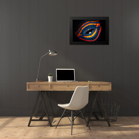 Orange-Lined Triggerfish Black Modern Wood Framed Art Print by Gabriel, Barathieu