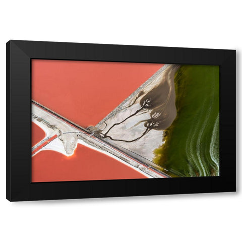 Natures Painting Black Modern Wood Framed Art Print with Double Matting by Macua, Gerald
