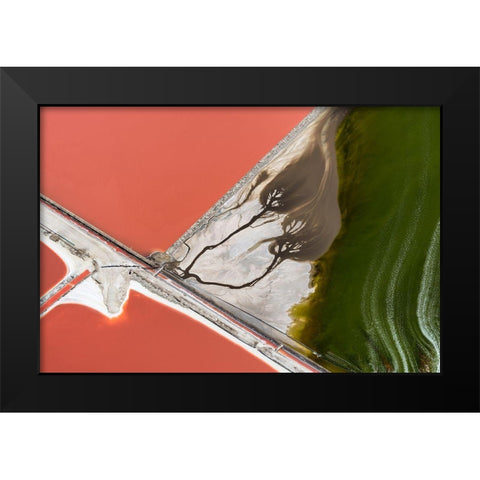 Natures Painting Black Modern Wood Framed Art Print by Macua, Gerald