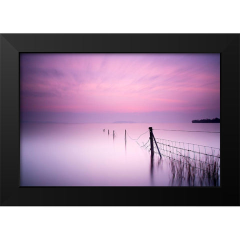 Milky Pink Black Modern Wood Framed Art Print by O Mahony, Kieran