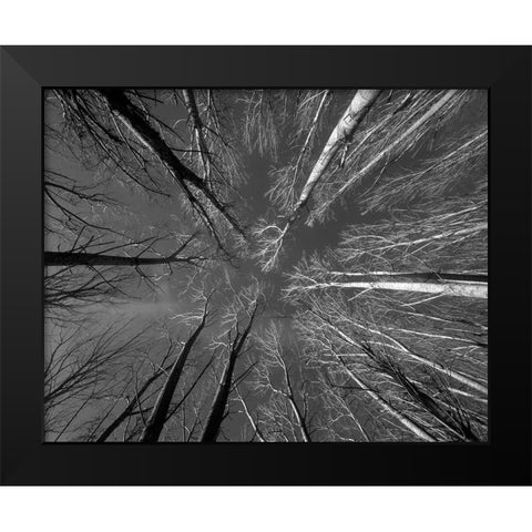 Ponto De Fuga Black Modern Wood Framed Art Print by Sousa Dias, Nana
