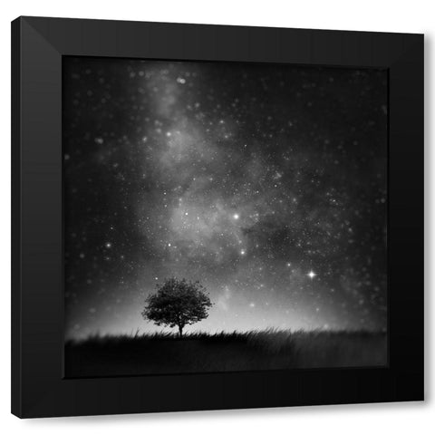 Not So Alone Black Modern Wood Framed Art Print by Del Grosso, Sebastien
