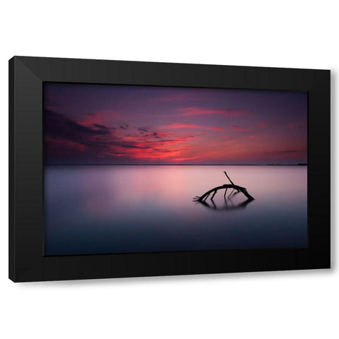 Colors Of Evening Black Modern Wood Framed Art Print by Olech, Michal